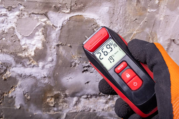 Best Attic Mold Removal  in Baileyton, AL