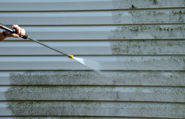 Best Toxic Mold Removal  in Baileyton, AL