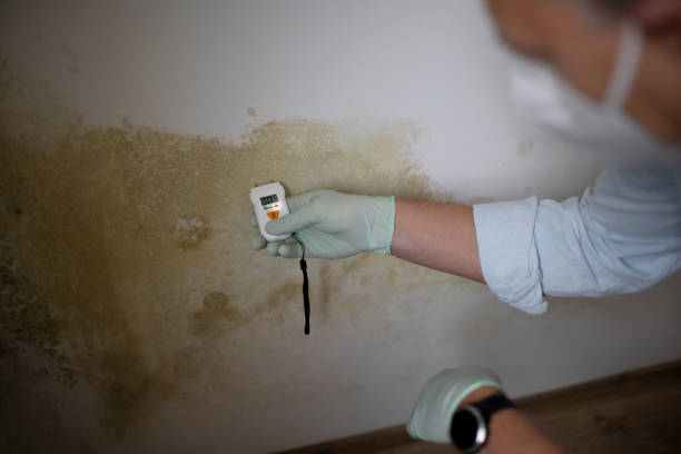 Water Damage Restoration in Baileyton, AL