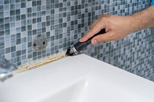 Best Mold Testing  in Baileyton, AL