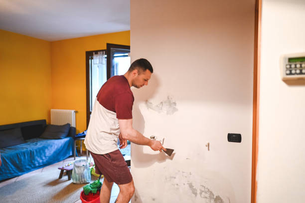 Best Mold Removal Specialists  in Baileyton, AL